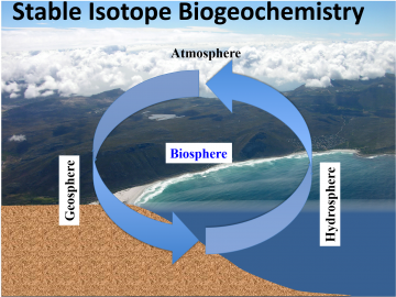 Earth 124I/224I: Stable Isotope Biogeochemistry